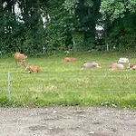 Højmosegård 4 Varde